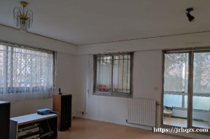 93省BAGNOLET小巴黎近郊宽敞3P 二房一厅 59米平方 DPE : D