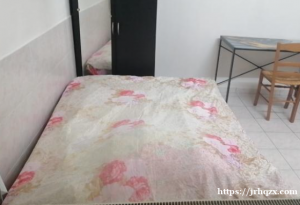 巴黎94别墅区，18平方studio出租，620欧包水电（一押一租），独立厨房卫