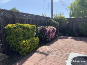 Milpitas master room 主卧出租