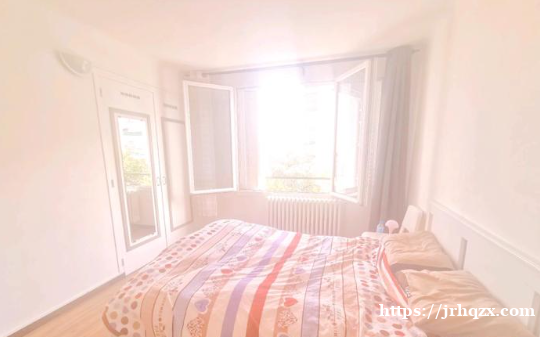 94 近13区Vitry sur Seine T9 中央供暖两房一厅家具齐全 94 近13区Vitry sur Seine T9 中央供暖两房一厅家具齐全