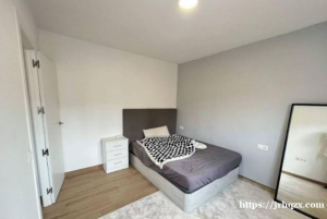 【5/6号线Oporto,精装修单身公寓 9月10号首租】