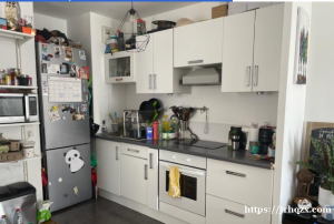 92 省 Issy les moulineaux，15区延长线，安全富足，绿色环保小区的60平米，