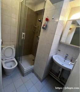 94区 Villeneuve Saint George有一间大约32平方米的一房一厅公寓出租，可月租