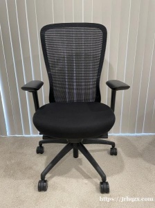 Ergonomic Chair 人体工学设计的专业电脑椅，原价$308，Ultra Soft Foo