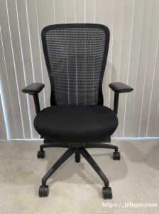 Ergonomic Chair 人体工学设计的专业电脑椅，Ultra Soft Foot Warme