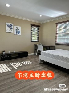 主卧出租，尔湾优秀小区Woodbury 3房2.5卫house出租一主卧套间，含独立卫生间、衣帽间。