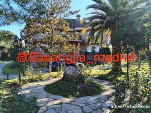 马德里近Cobo calleja仓库区【大型独栋精装修高档别墅】出租 一共9居室4厅7卫 ，面积一千