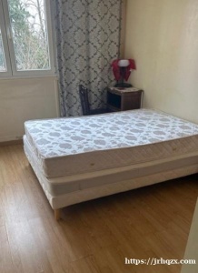 94 有一个单间出租 141 Av. de Paris, 94800 Villejuif这个地址