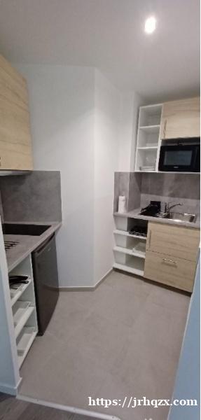 带20平米独立花园的Studio.离RER C线 Vitry Sur Seine 走路300米的距离 带20平米独立花园的Studio.离RER C线 Vitry Sur Seine 走路300米的距离