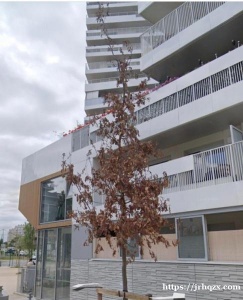 92好地方，日租月租短租，4月份房间️特价9折，【房费】分别为35欧元/天，58欧元/天