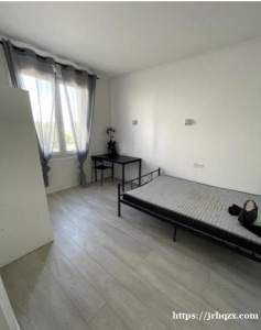 Joinville le pont 两房一厅出租,6月1日起。出门就是A线joinville le