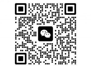 这几天彼得堡谁家里可以提供钢琴？我按小时租用，电子琴不行