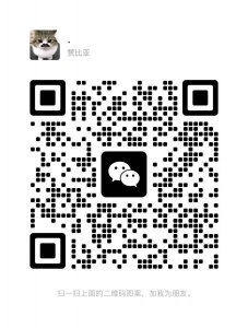 有人出莫斯科大学站15号之前的大马戏团的票吗