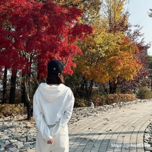 初到新加坡诚心求租/非诚勿扰