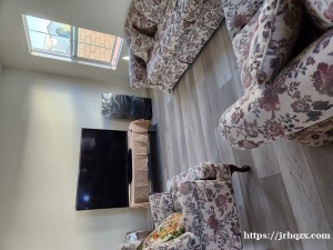 东谷安大略新房出租