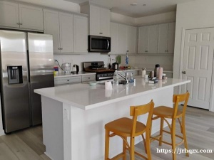 东谷安大略新房出租