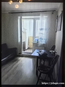 莫斯科东南好房出租