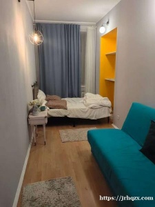 彼得堡找女生室友：市中心улица Большая Конюшенная дом 1