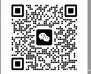 想找国内回彼得堡带物的 最好在上海的，带盒装甜品 大概一公斤