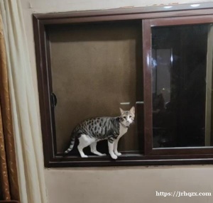 莫斯科短租房 5.3-9.3  (可情侣，最多两个人) 3万/月，包水电，无落地 押一付一或者一次性