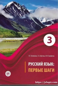 收这本书瓦西里地铁站附近