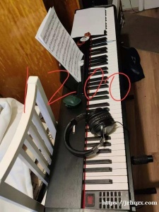 出电钢带重锤，带监听耳机，架子，1200人，普利莫附近。