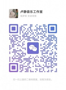 求租5.5日-5.30日圣彼得堡，普里莫或市中心的一间房，可合租！女生！