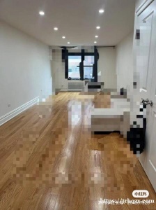 法拉盛近缅街电梯一大房大厅出租