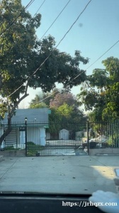 全新装修/2房和3房出租