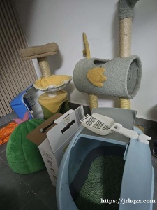 猫爬架和猫砂盆