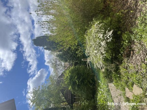 莫斯科西南区别墅宝藏单间,诚邀入住! 莫斯科西南区别墅宝藏单间,诚邀入住!