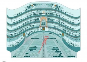 出一张五月14号（今天）晚上七点 马琳斯基-1的天鹅湖芭蕾舞