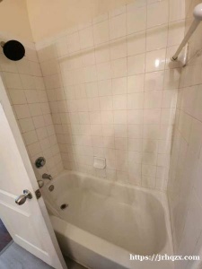 Condo 带独立卫生间 $ 650 月租