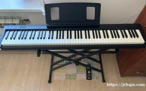 出罗兰电钢，带架子，带踏板，有兴趣的私