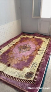 七区出一个地毯全新没用过，因为要搬家便宜出，要的私我！
