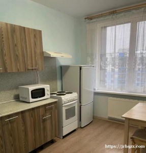 普里莫海边新小区，超低价：大一居室公寓，可情侣一起住，四万卢布一个月 包落地 水电物业一般三千多长租