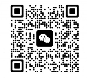 圣彼得堡短租海边新小区 七月8日到八月底 没有中介费 有押金 房租30000
