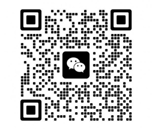 圣彼得堡短租海边新小区 七月8日到八月底 没有中介费 有押金 房租30000