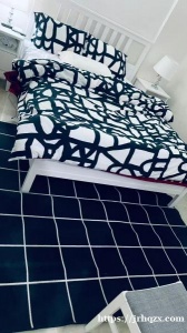 新开罗转租一套一室一厅的房子