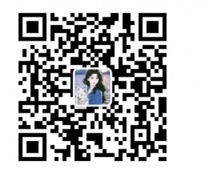 出沙发，三明治机，榨汁机，木头衣架，电饭煲，豆浆机，蒸锅（可以当火锅锅使用）台灯，推拉伸缩试衣架