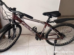 98新自行车谁要 成年人骑的