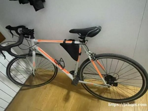 塞尔维亚二手自行车，送前后车灯 支架 水壶架 车包