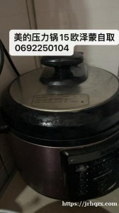 回国大甩卖，美的压力锅15欧泽蒙自取，防盗皮质背带，男士20欧……