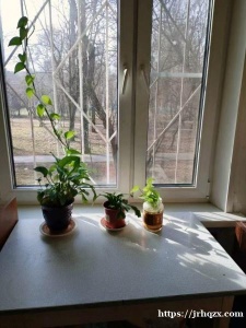 单间出租！价钱美丽！！！