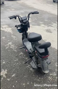 正常使用电瓶车，价格300欧元（折算民币2500元），货物地址：雷迪娜