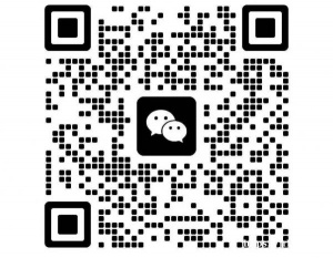 找一个彼得堡十二月短租房子，租一个月整租