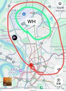 求杜塞一室一厅 两个女生一直猫