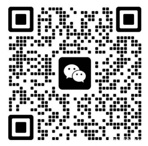 出电饭煲  空气炸锅  烤箱 吸尘器  瑜伽垫 体重称  晾衣架  床+床垫200 *220（双人床