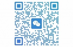 找最近来彼得堡的带物