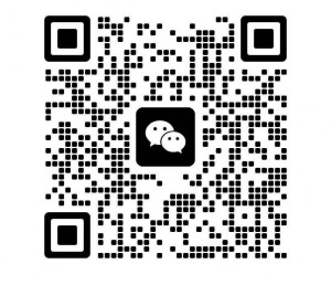 有没有出售空气炸锅的